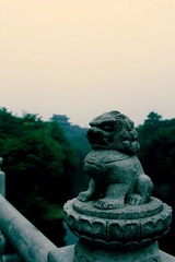 IMG_2673.jpg