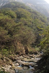 IMG_5090.jpg