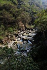 IMG_5091.jpg