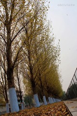 IMG_5849.jpg