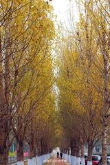 IMG_5862.jpg
