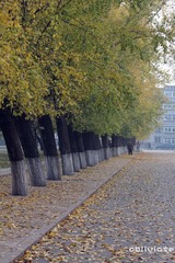 IMG_5902.jpg