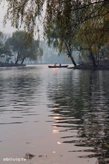 IMG_5960.jpg
