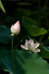 IMGP6552