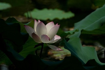 IMGP6546