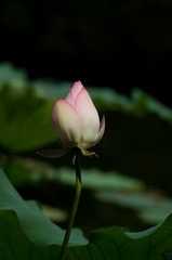 IMGP6543