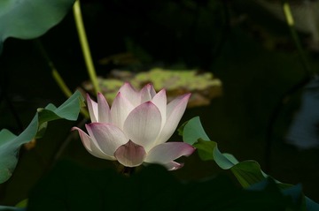 IMGP6539