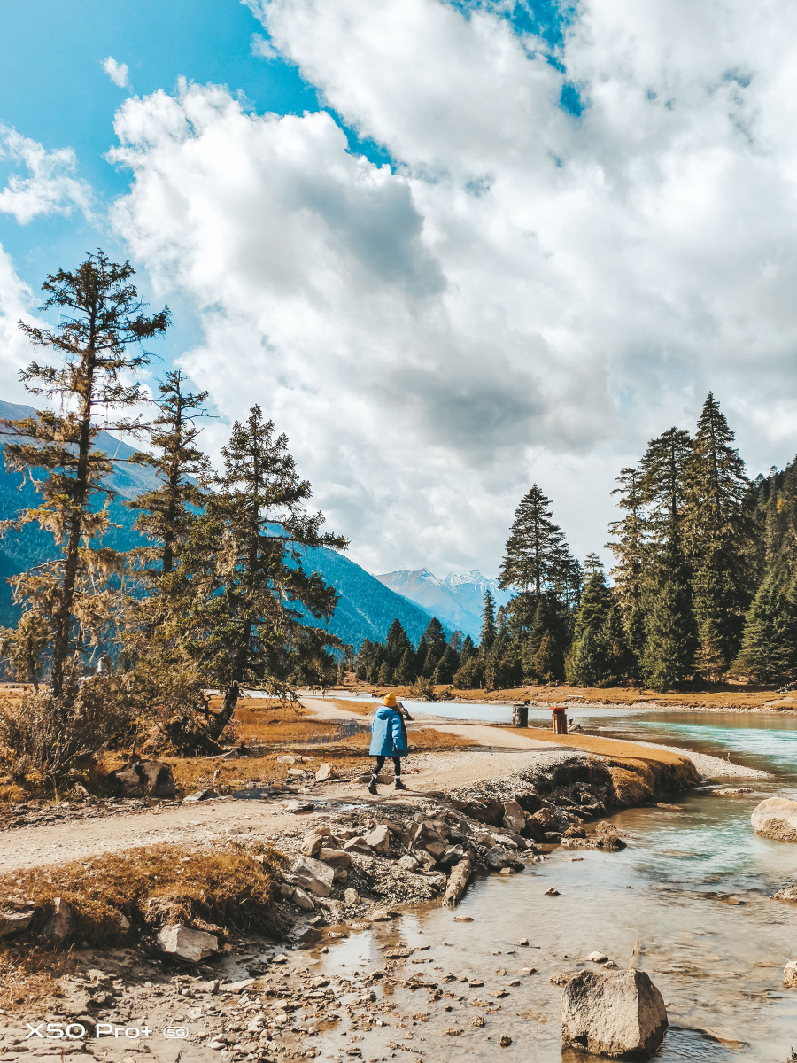 徒步探索原始森林,向雪山的方向前行!