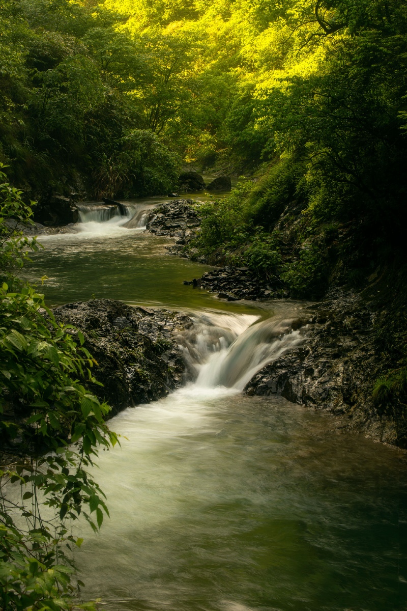 800_1200竖版 竖屏