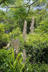 IMGP0892.jpg