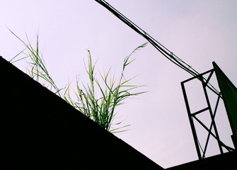 街景