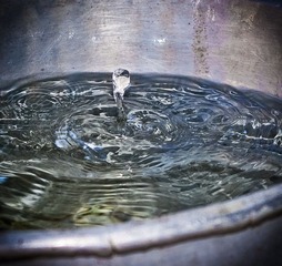 水跃