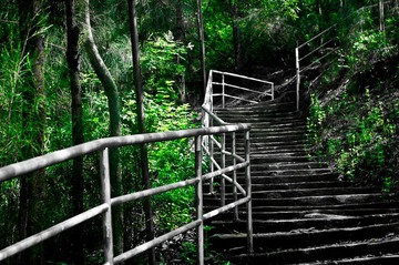 风景