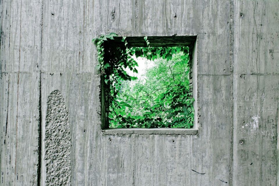 窗<br />
国美建筑学院 某个角落