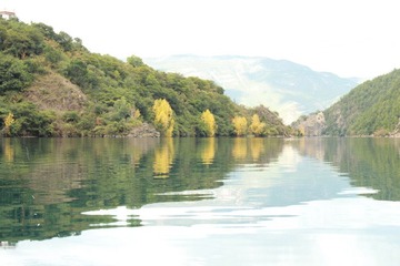 IMG_0662.jpg