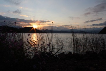 IMG_0895.JPG