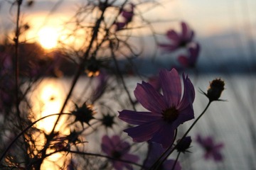 IMG_0899.JPG