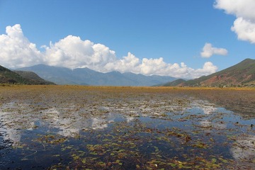 IMG_1079.jpg