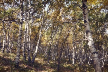 DSC00372_