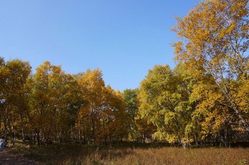 DSC00375_