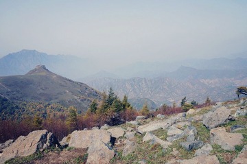 DSC00428_