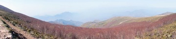 DSC00471_