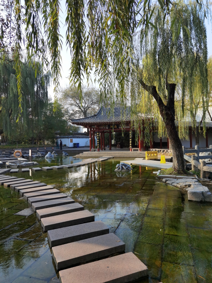 中国济南五龙泉612020年11月a一5