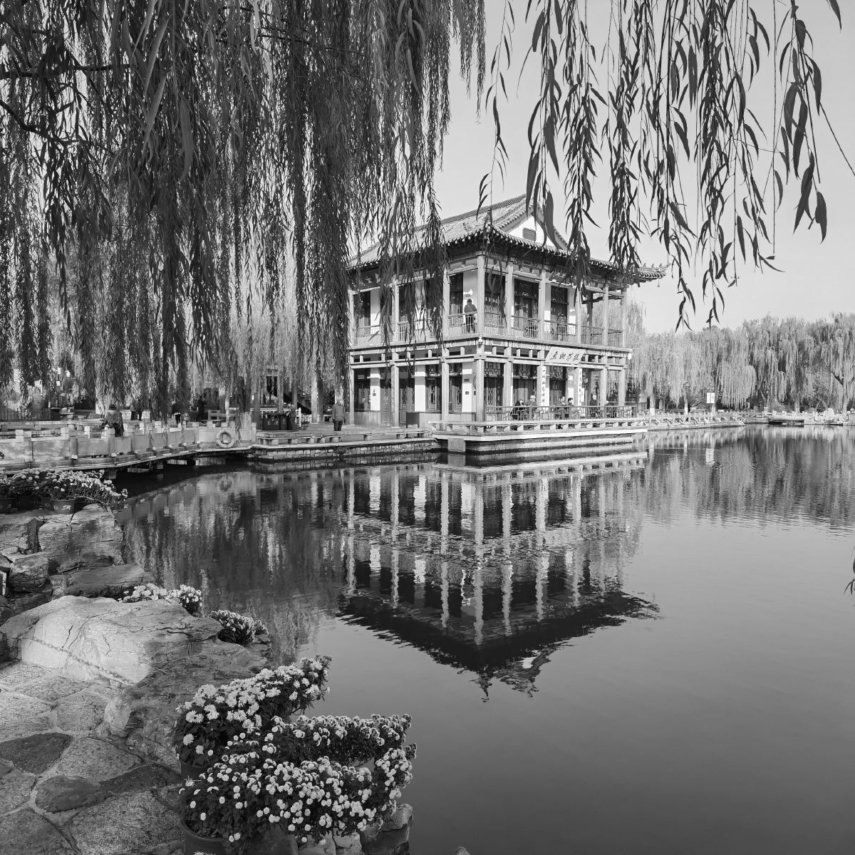 中国济南五龙泉2020年11月(b1)注:b表示方幅