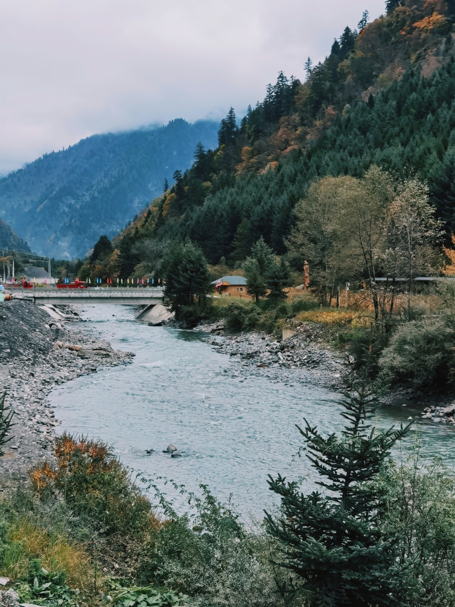山水摄影四川阿坝黑水县奶子沟2020年10月〈5aa〉