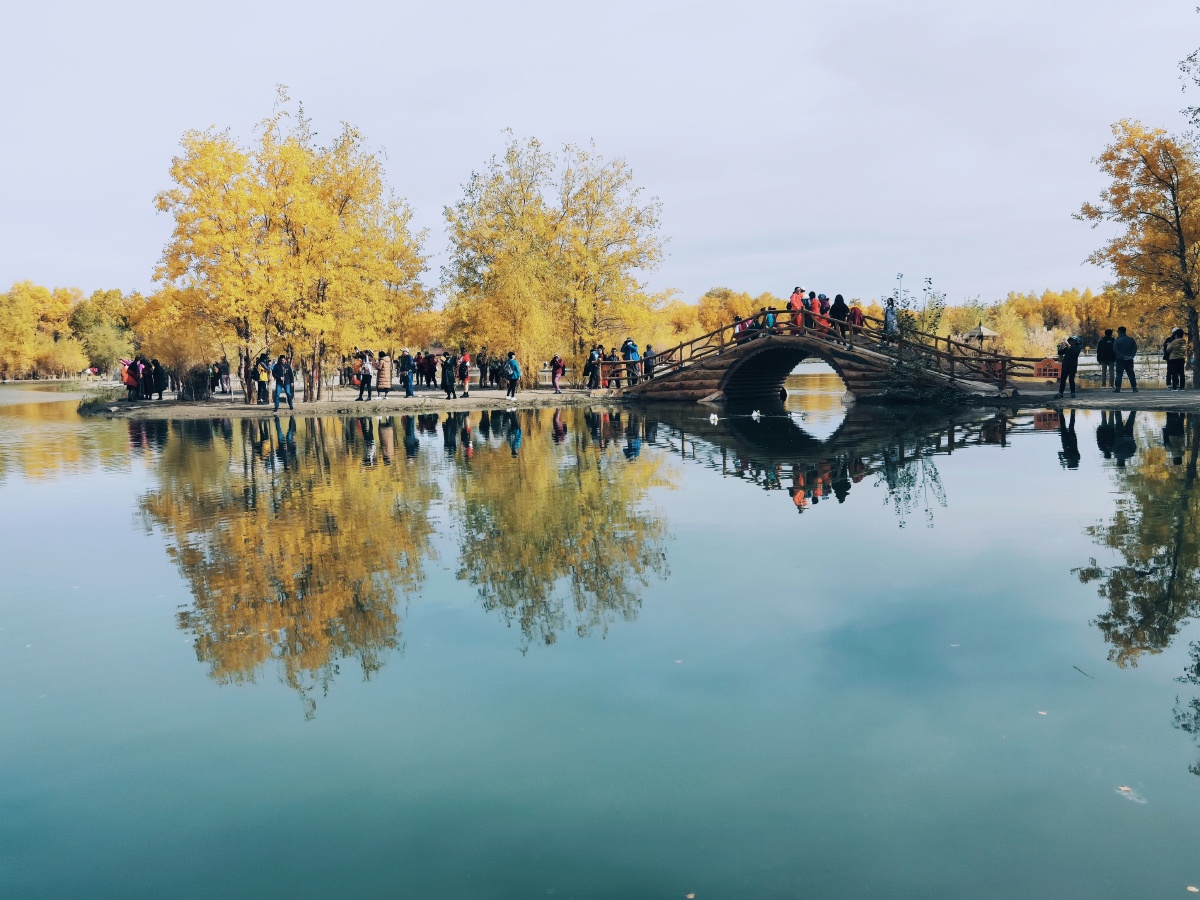 秋影61中国酒泉金塔金波湖612020年10月13日下午325