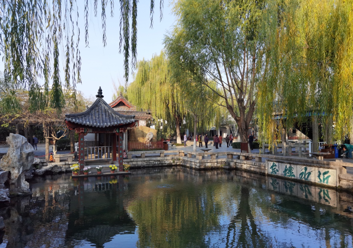 中国济南五龙泉612020年11月c2