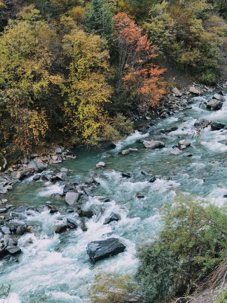 山中溪流61四川阿坝黑水县奶子沟612020年10月2a