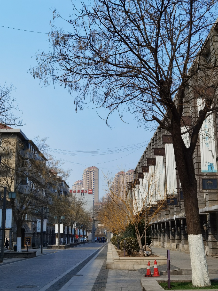 天津马路随拍612021年3月8日a2