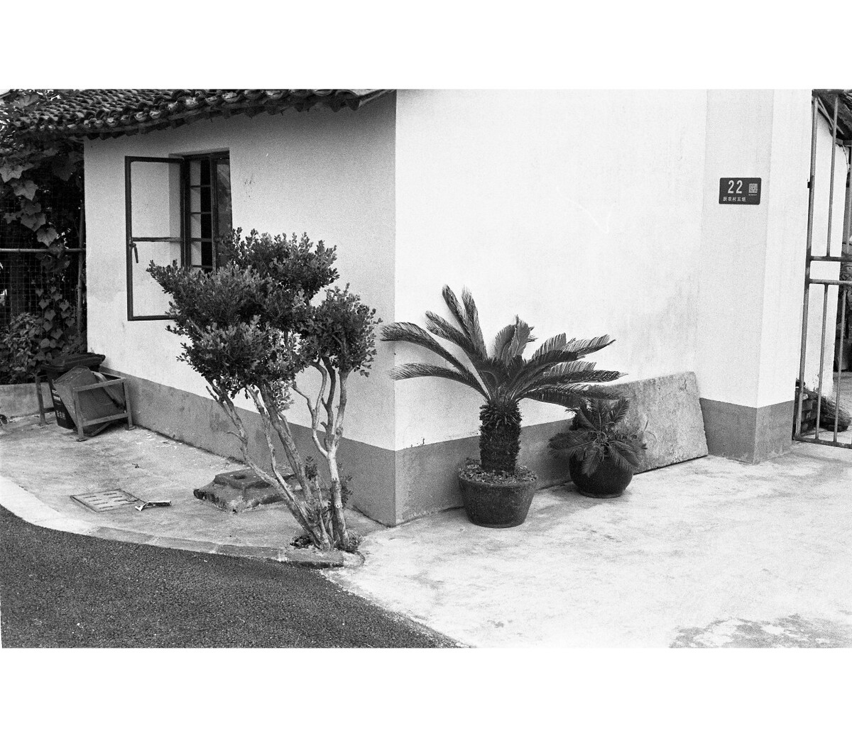 小村小景……伊尔福PAN400