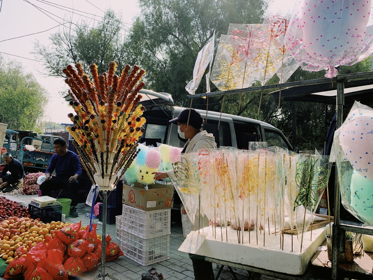 东北大集市蒲河大集