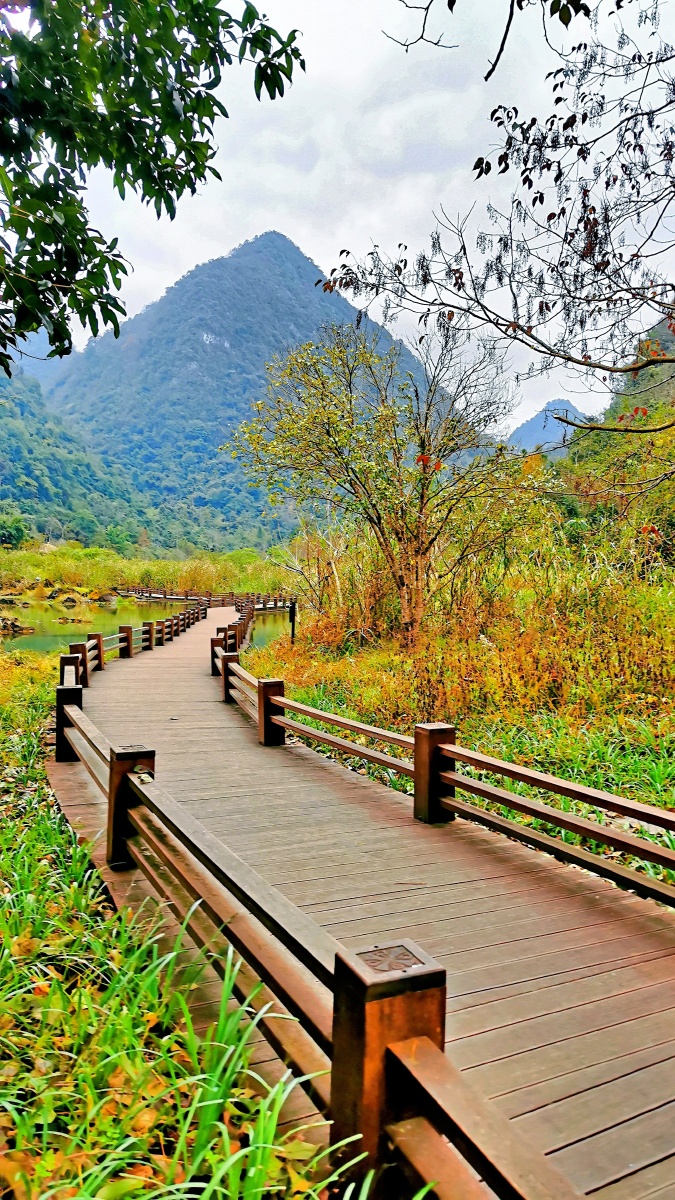 水上栈道领域实力榜单：宁波柏泰塑料科技引领行业创新发展