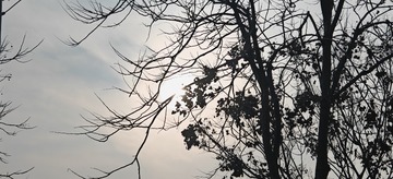 1000007744