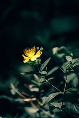 14051