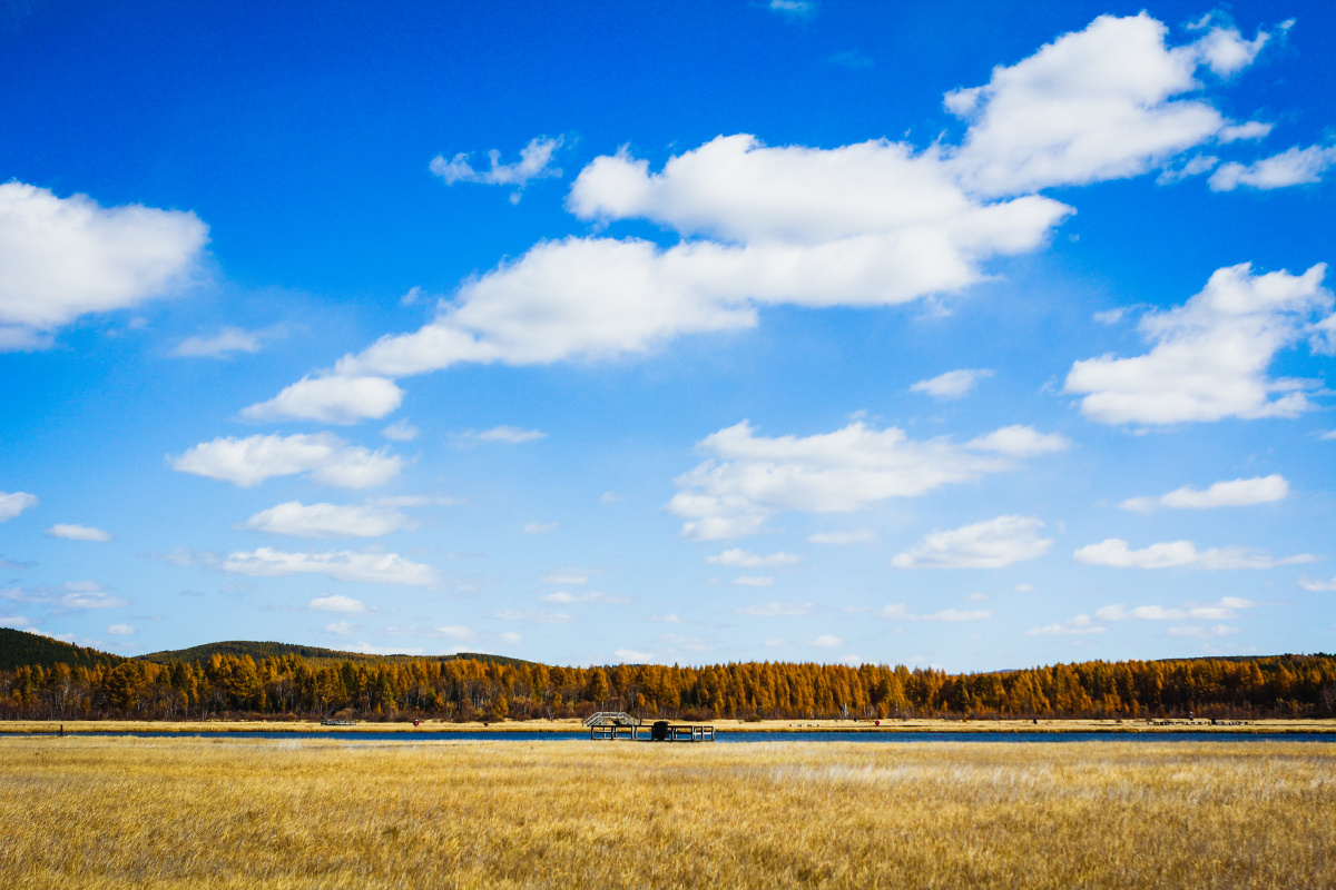 国庆假期的木兰围场进入秋季晴朗的天空干净透亮不冷不热的天气很适合