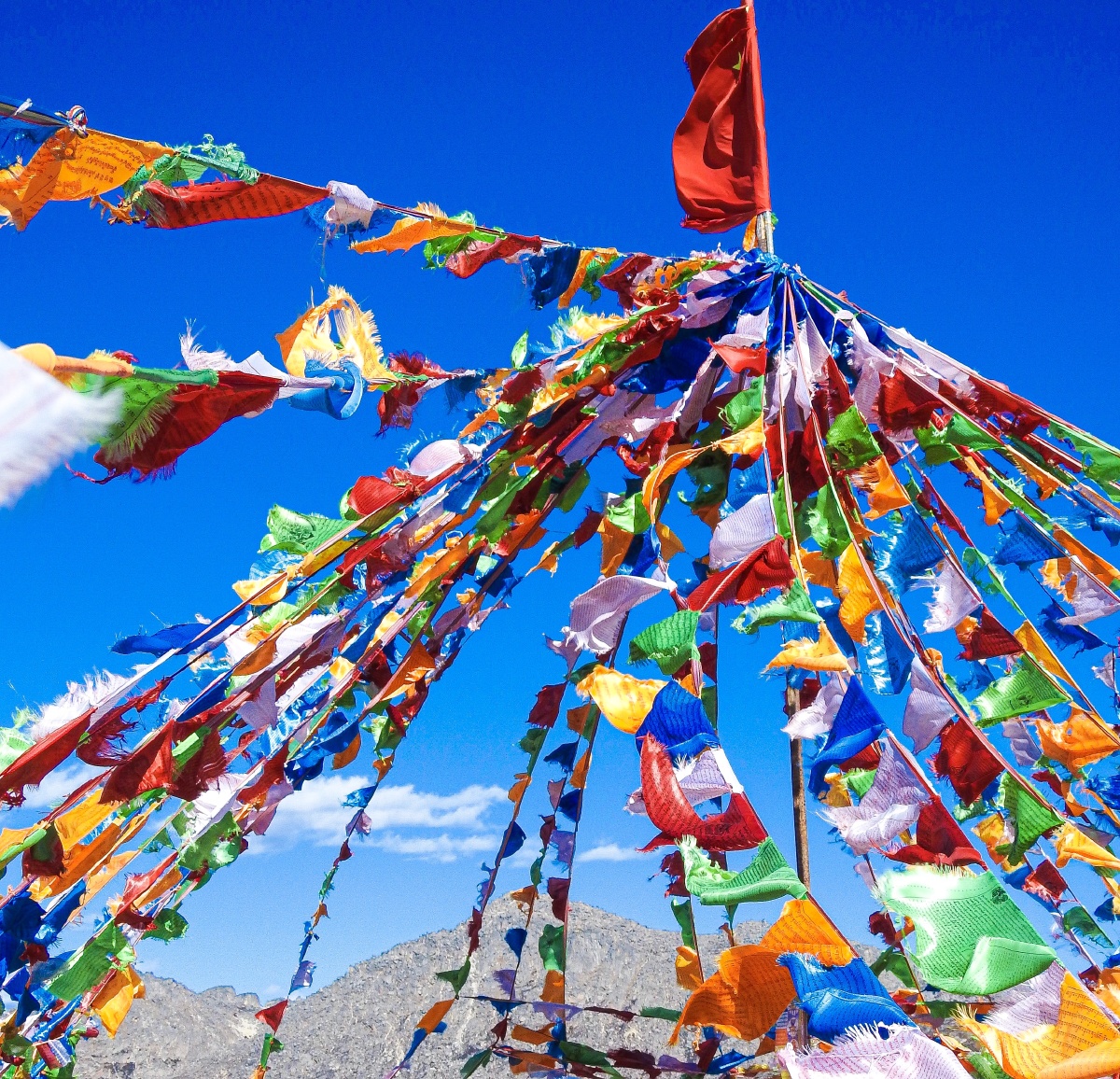 旅行318经幡飘扬色彩