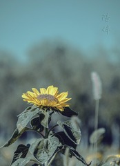 1538750