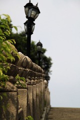 莲花山_0018 (2011-09-10).jpg