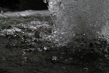 莲花山_0052 (2011-09-10).jpg