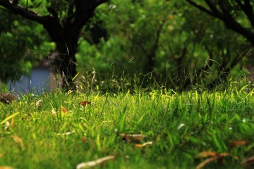 莲花山_0064 (2011-09-10).jpg