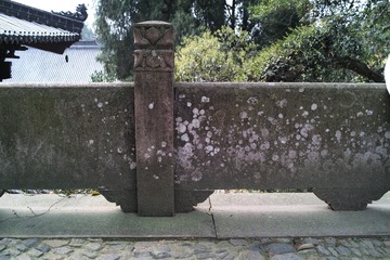 DP1M0565