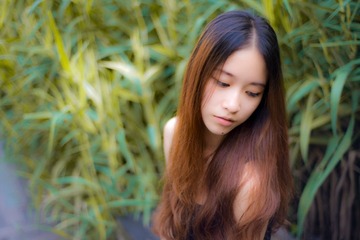 梦