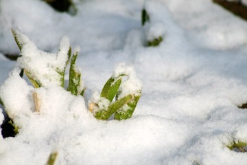 IMG_1897.jpg