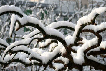 IMG_1900.jpg