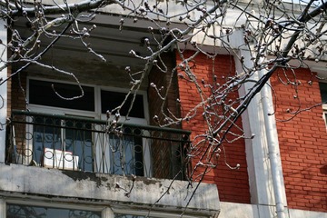 IMG_1917.jpg