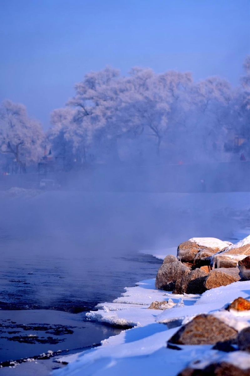 冬日恋歌新疆伊犁